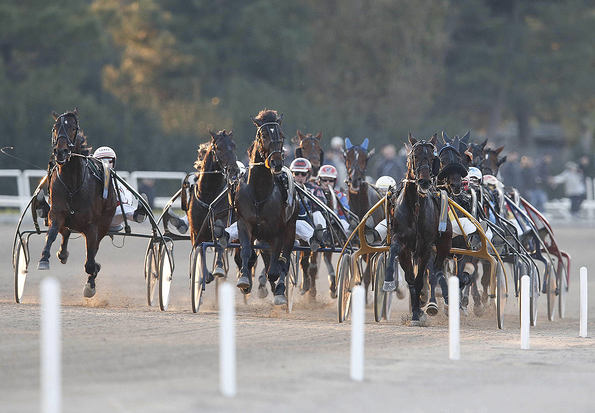 Ippodromo Di Agnano Napoli, Non Solo Galoppo Ma Anche Intrattenimento