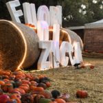 Giochi di Zucca: la IV edizione arriva alla Mostra d’Oltremare