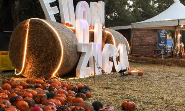 Giochi di Zucca: la IV edizione arriva alla Mostra d’Oltremare