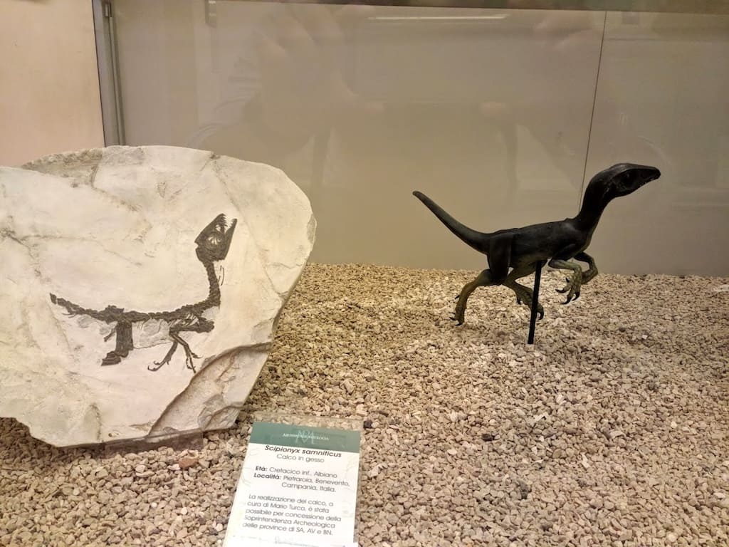 Scipionyx samniticus, il "Ciro" - Paleontologia napoli